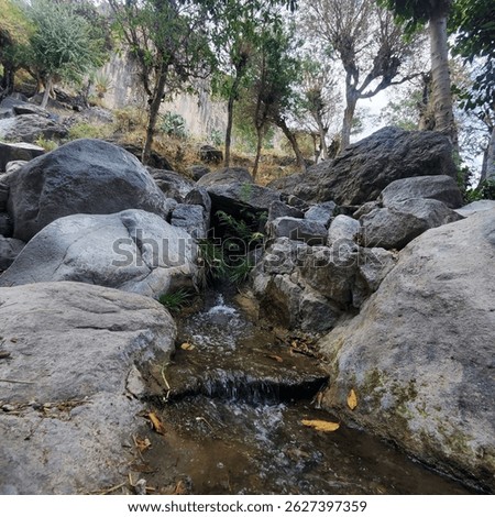 Small waterflow between rocks and trees.