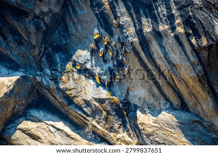 Small, weathered prayer flags are affixed to a steep, textured rock wall in Gosaikunda, Nepal. The stone surface shows natural striations and sparse vegetation. Gosaikunda, Nepal