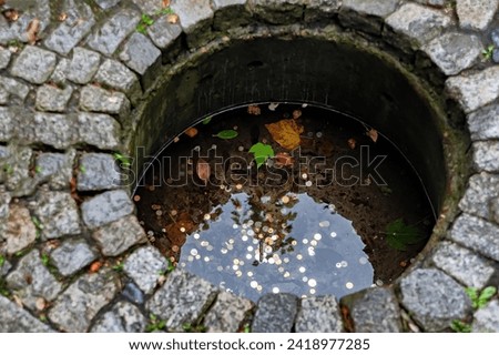 A small well with coins in a garden