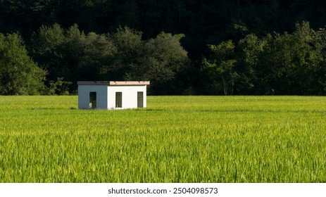A small white brick structure stands alone in the middle of a lush green field, with dense dark trees forming a contrasting backdrop under a clear sky.