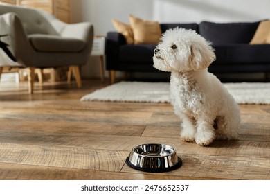 Pequeño perro blanco, papas fritas bichon, sentado junto a un tazón de agua.