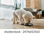 Small white dog joyfully eats from metal bowl.