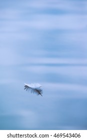 52,288 Floating feather water Images, Stock Photos & Vectors | Shutterstock