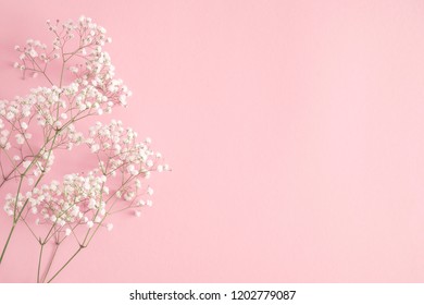 Small white flowers on pastel pink background. Happy Women's Day, Wedding, Mother's Day, Easter, Valentine's Day. Flat lay, top view, copy space
