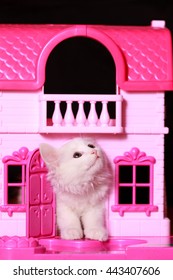 cat doll house