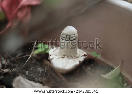 A small White marble Shivling in selective focus with twigs and mud in front Profile 
