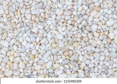 Small White pebbles background  for home and home interior decoration, simple stones background