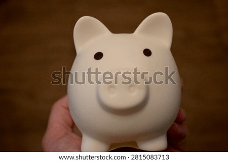 A small white pig-shaped object is held against a blurred brown background. The simple front view shows minimal facial details and soft indoor lighting.
