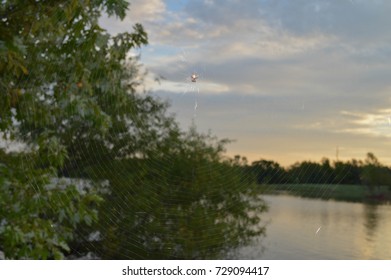 Small white spider in a large spiderweb over a lake during an October sunrise 