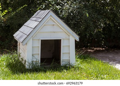 Small And White Wooden Doghouse On A House Backyard