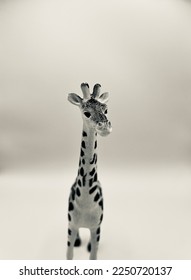 Small wild animal toy. Giraffe in black and white looking straight ahead.