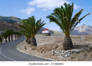 Small Wind Mills And Palm Trees By The Road Above Porto Santo Harbour. Madeira, Portugal.