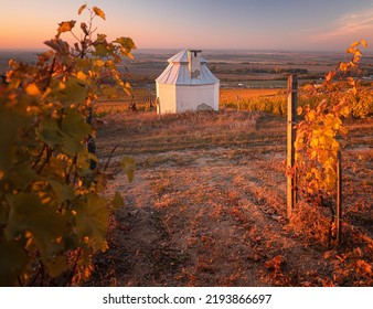 Small Wine Cellar At Wonderful Vineyards At Tokaj In Autumn