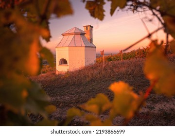 Small Wine Cellar At Wonderful Vineyards At Tokaj In Autumn