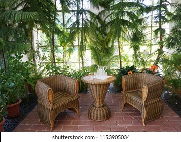 Small Winter Garden With Tropical Plants As Nice Background