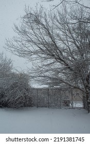 A Small Winter Storm From My Window.