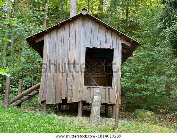 Small wood hut in the\
forest