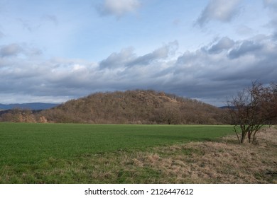 Small wooded rocky hill in fields, snowless winter, cloudy weather. Location: "Chotyne" hill near "Rtyne nad Bilinou", Czech republic. - Shutterstock ID 2126447612