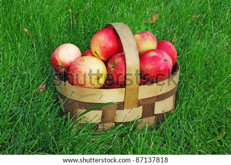 Similar – Image, Stock Photo Fruit orchard