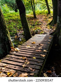 Small wooden bridge between tree trunks with dry leaves during autumnal season in Trollskogen Vresbokarna. Celestial trail in the woods or ethereal path in a forest lit by sun rays conveys relaxation - Shutterstock ID 2250930147
