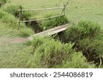 A small wooden bridge over a small brook on a farm in Kerala, South India.