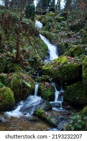 49,735 Waterfall Bridge Forest Images, Stock Photos & Vectors ...