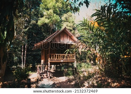 small wooden cottage in the jungle
