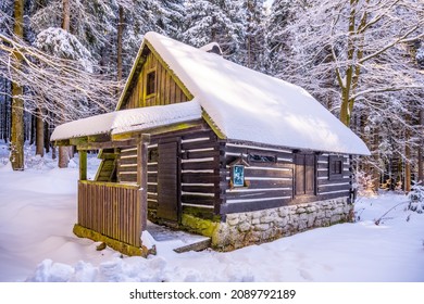 Small wooden forest cabin in winter - Powered by Shutterstock