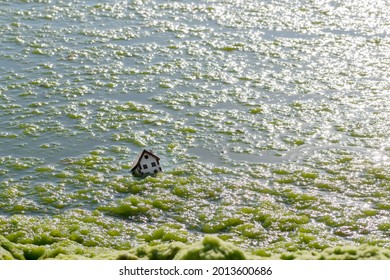 Small Wooden House Floating Sinking Underwater In Sea With Algae, Simbol Of Family Home Sunk, Damage. Natural Disasters And Incidents Concept, Tsunami Flood, Hurricane. Background, Copy Space