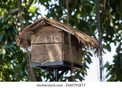 Small wooden lodge a squirrels feeder in park,squirrel house. or it could also be used as a bird house. in indonesia called pagupon or gupon - Powered by Shutterstock