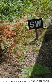 Small Wooden Sign 'SW' Beside Overgrown  Railway Line 