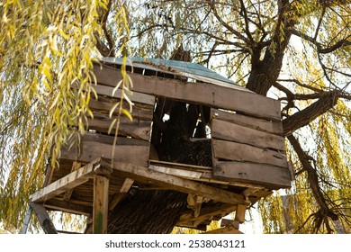 Small wooden treehouse on the tree. Autumn time - Powered by Shutterstock