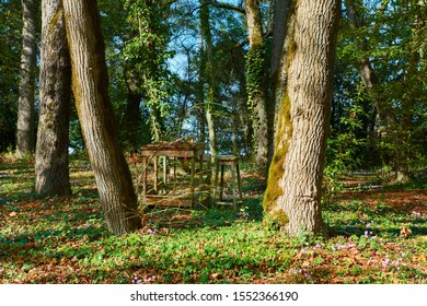 Small work table and stool in the middle of the trees