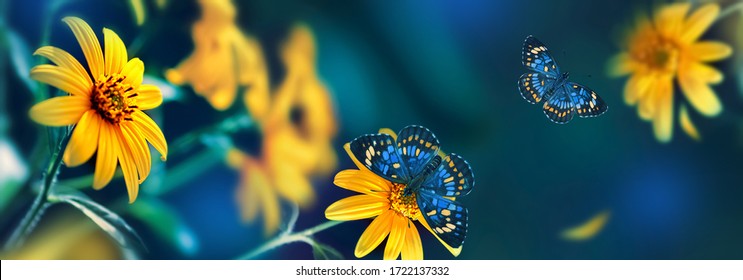 Small yellow bright summer flowers and tropical butterflies  on a background of blue and green foliage in a fairy garden. Macro artistic image. Banner format.