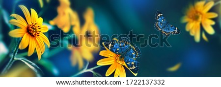 Small yellow bright summer flowers and tropical butterflies  on a background of blue and green foliage in a fairy garden. Macro artistic image. Banner format.