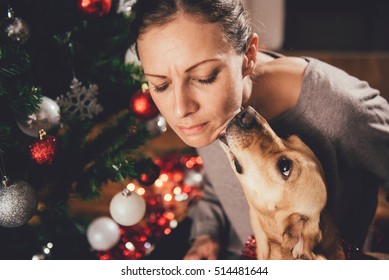 Small Yellow Dog Licking Woman's Face By The Christmas Tree