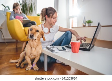 Small Yellow Dog Sitting On The Floor By The Woman Who Is Petting Him At Home