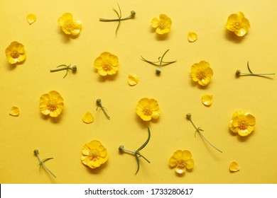 Small yellow flowers and Buttercup buds on a yellow background. Floral bright background, closeup, top view. Repeating pattern, decorative ornament