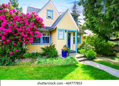 Small Yellow House Exterior With Blooming Rhododendron In Grass Filled Front Garden. Northwest,USA