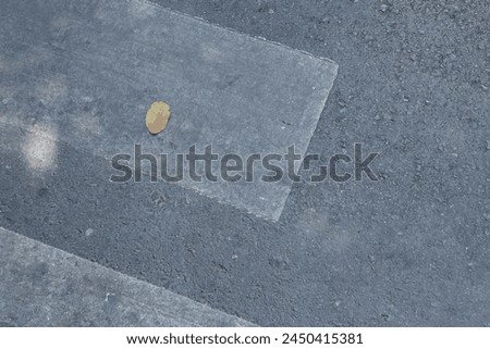 Small yellow leaves fall on the ground.