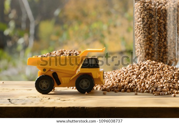 A small yellow toy truck is loaded with brown
grains of buckwheat around the buckwheat pile and a glass of croup.
A car on a wooden surface against a background of autumn forest.
Buckwheat delivery