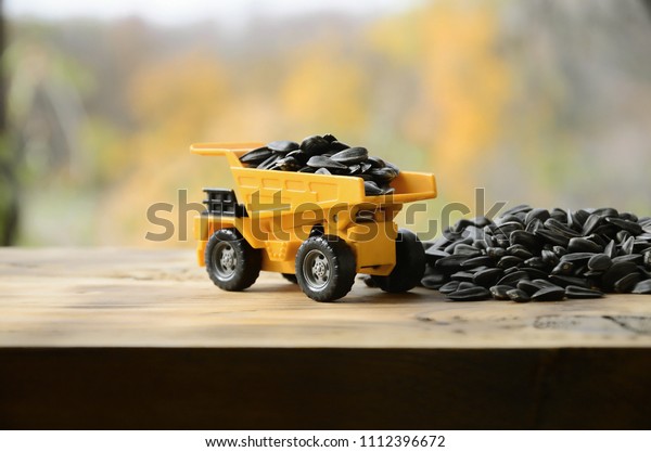 A small yellow toy truck is loaded with sunflower\
seeds next to a small pile of sunflower seeds. A car on a wooden\
surface against a background of autumn forest. Transportation of\
sunflower seeds