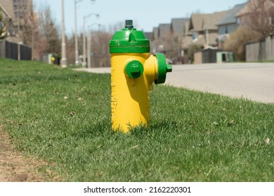 A small yellow-green fire hydrant stands out on the grass by the side of the road on the street.