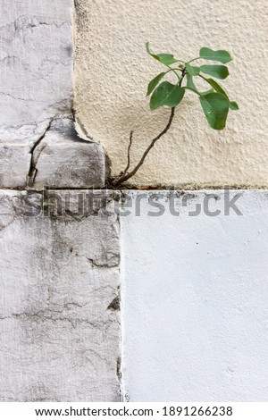 Similar – Image, Stock Photo biomass heating