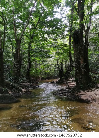 The smallriver in a tropical rainforest view. A nice calming flowing river from the main waterfall sources. 