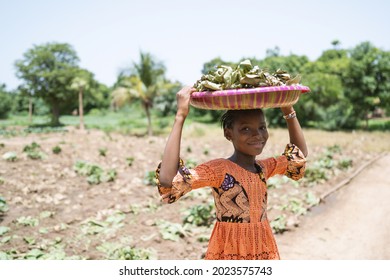 Smart African Girl Smiling Into The Camera, Carrying A Plate With Dried Leaves On Her Head, On Her Way To The Traditional Medicine Market