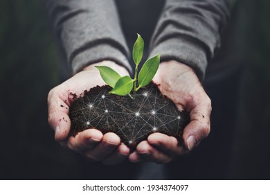 Smart agriculture 5.0 green plant product farming technology background - Shutterstock ID 1934374097