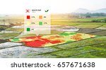 Smart agriculture , farm , precision farming concept. NIR images application screen used to create field health maps using the normalize difference vegetation percent index in field rice.