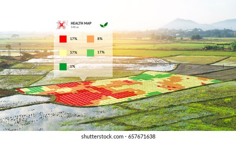 Smart agriculture , farm , precision farming concept. NIR images application screen used to create field health maps using the normalize difference vegetation percent index in field rice.
