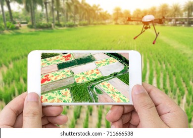 Smart agriculture , farm , precision farming concept. Drone and NIR images processing application screen used to create field health maps for normalize difference rice index in field.